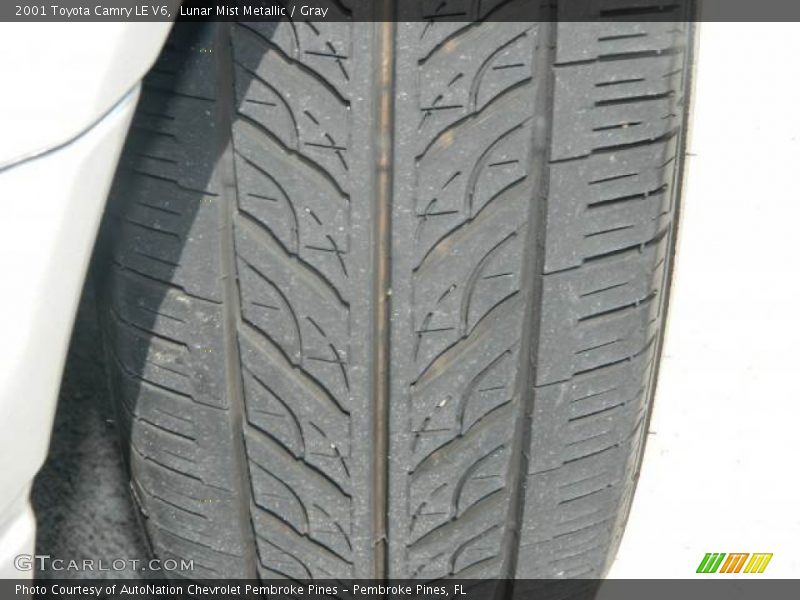 Lunar Mist Metallic / Gray 2001 Toyota Camry LE V6