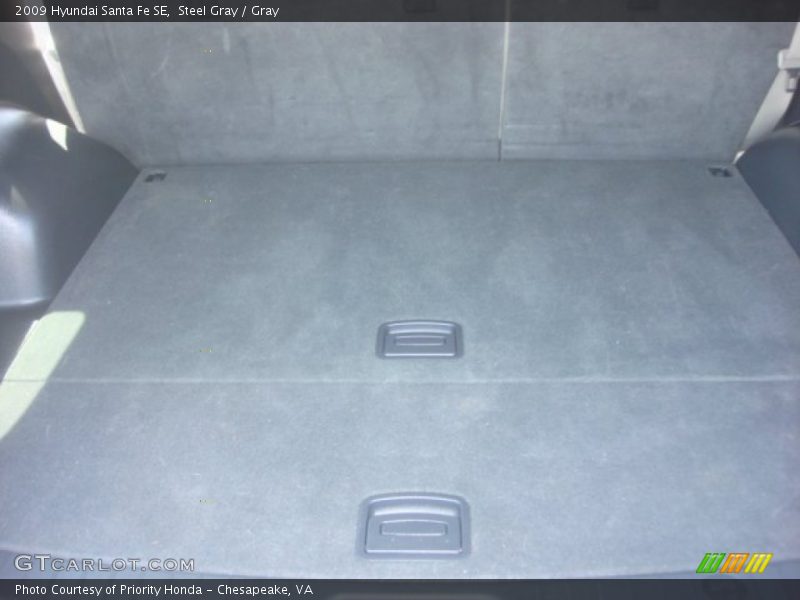 Steel Gray / Gray 2009 Hyundai Santa Fe SE