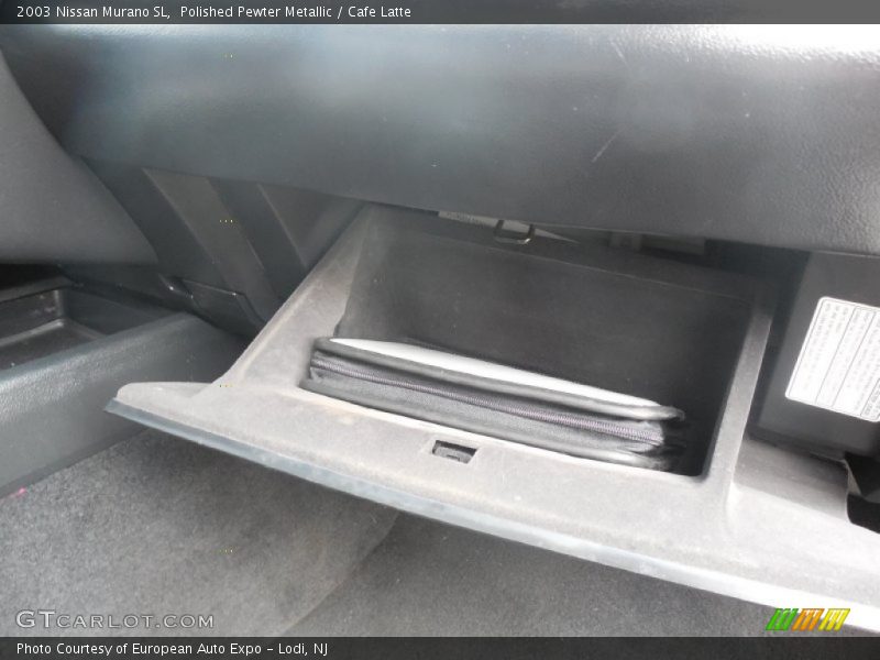 Polished Pewter Metallic / Cafe Latte 2003 Nissan Murano SL