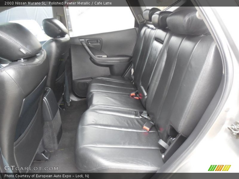 Polished Pewter Metallic / Cafe Latte 2003 Nissan Murano SL