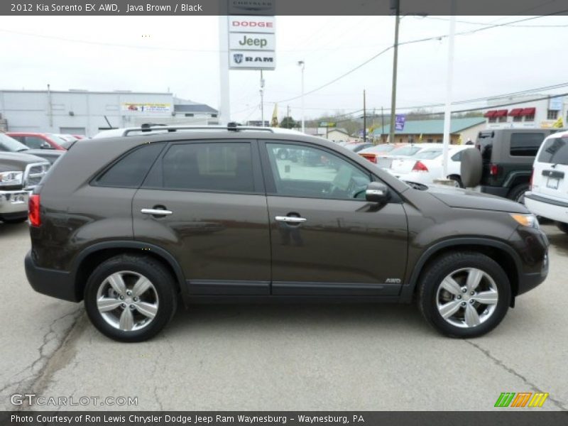 Java Brown / Black 2012 Kia Sorento EX AWD