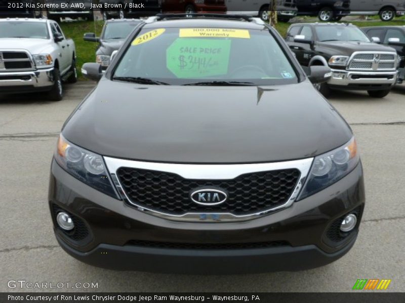 Java Brown / Black 2012 Kia Sorento EX AWD