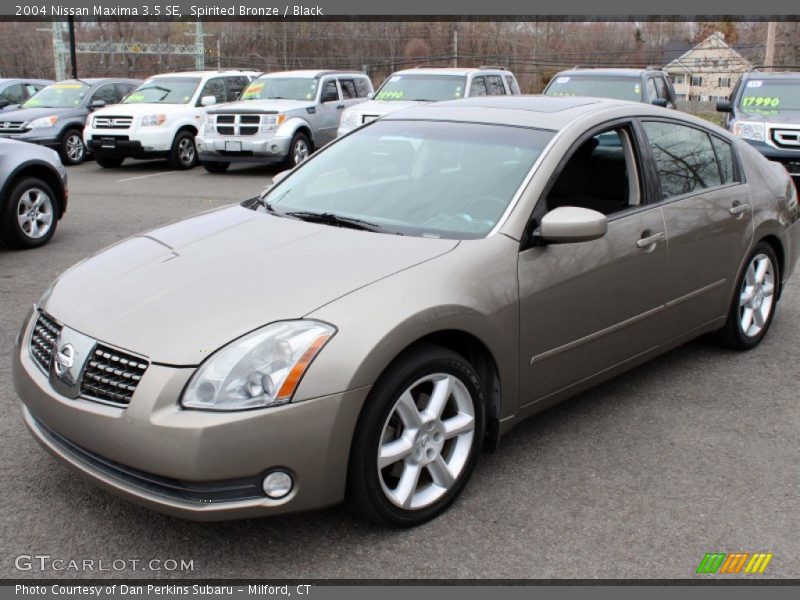 Spirited Bronze / Black 2004 Nissan Maxima 3.5 SE