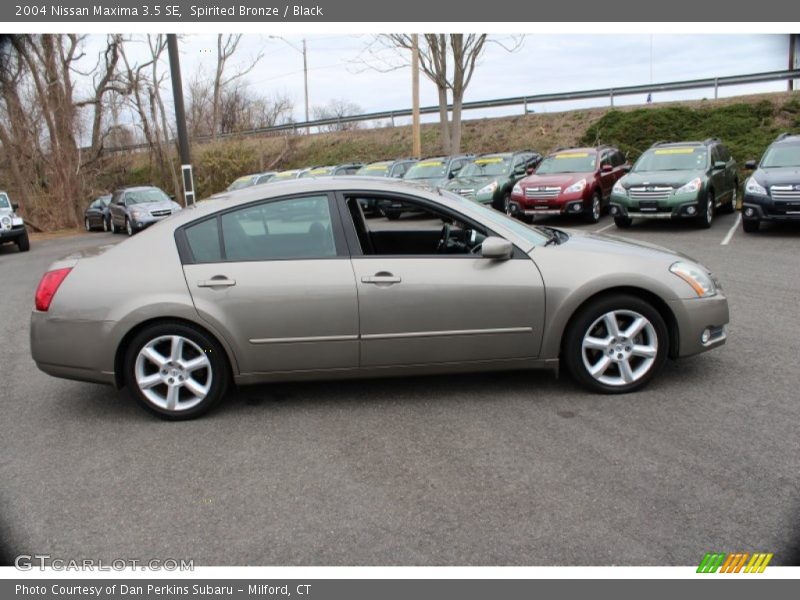 Spirited Bronze / Black 2004 Nissan Maxima 3.5 SE