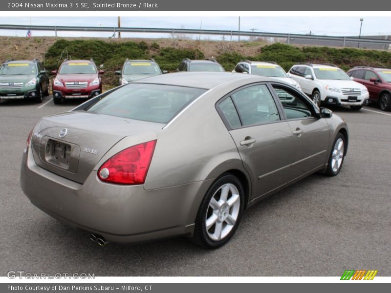 Spirited Bronze / Black 2004 Nissan Maxima 3.5 SE
