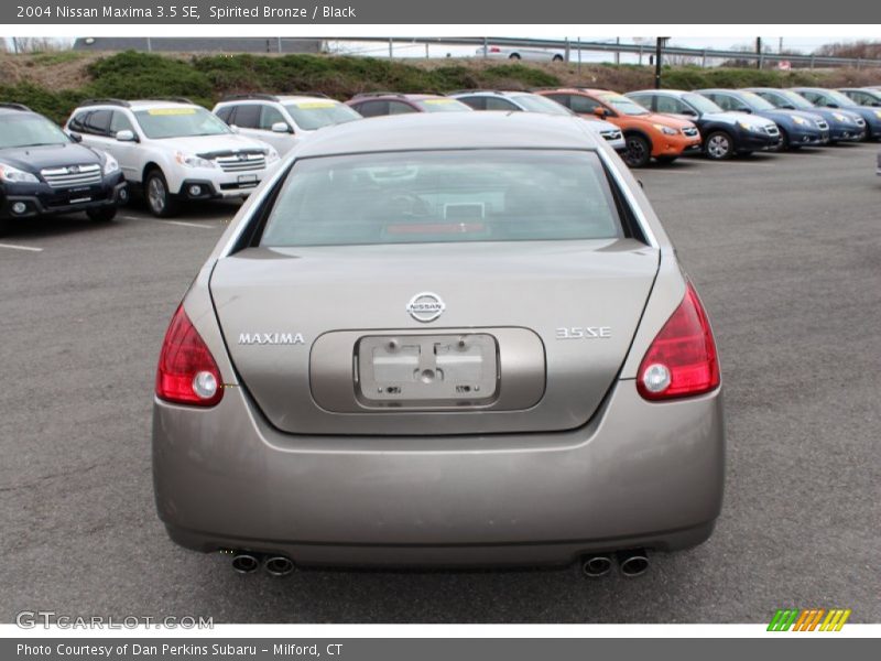 Spirited Bronze / Black 2004 Nissan Maxima 3.5 SE