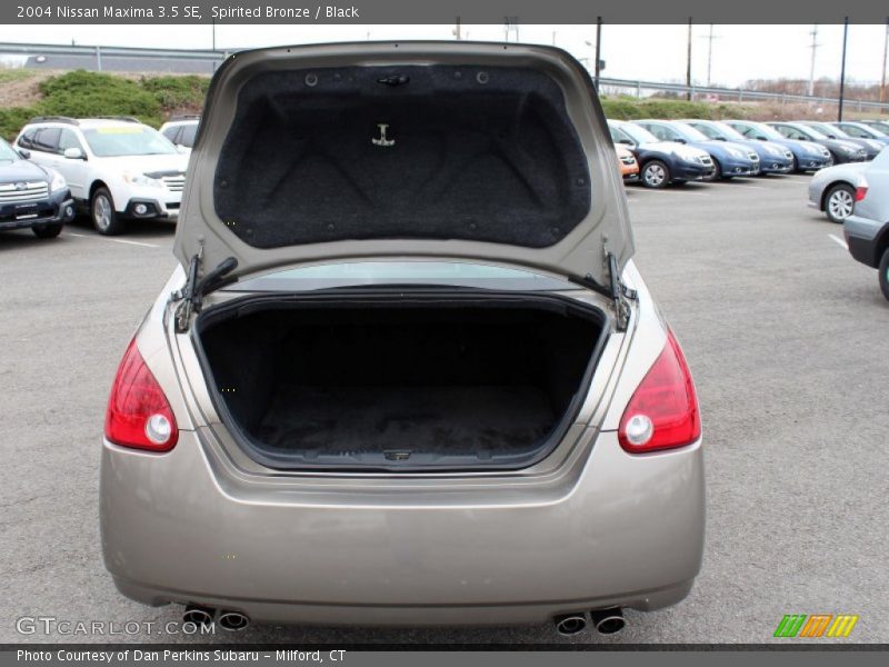 Spirited Bronze / Black 2004 Nissan Maxima 3.5 SE