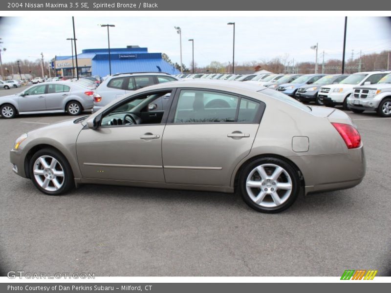 Spirited Bronze / Black 2004 Nissan Maxima 3.5 SE