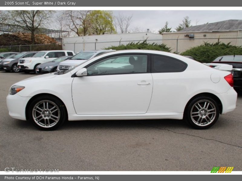 Super White / Dark Gray 2005 Scion tC