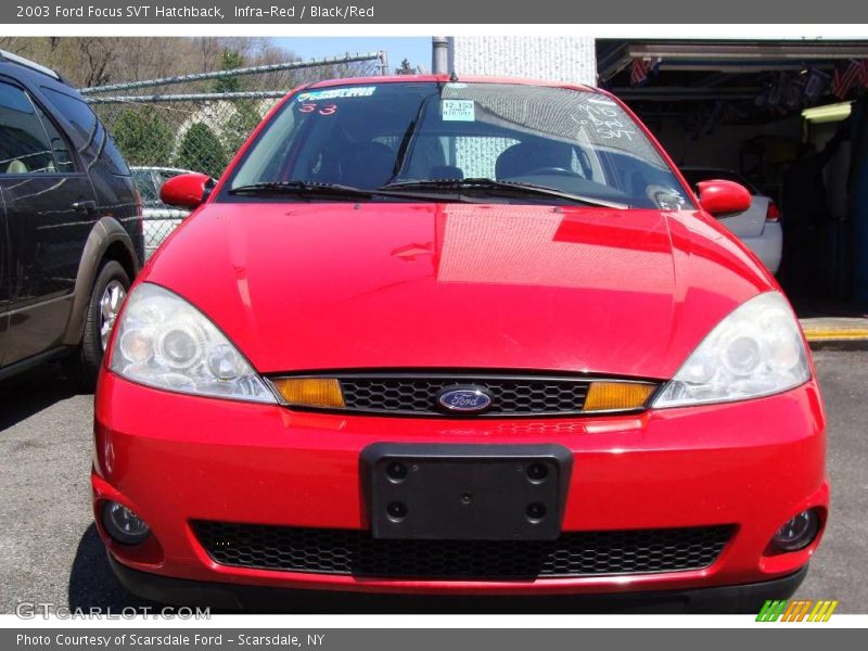 Infra-Red / Black/Red 2003 Ford Focus SVT Hatchback