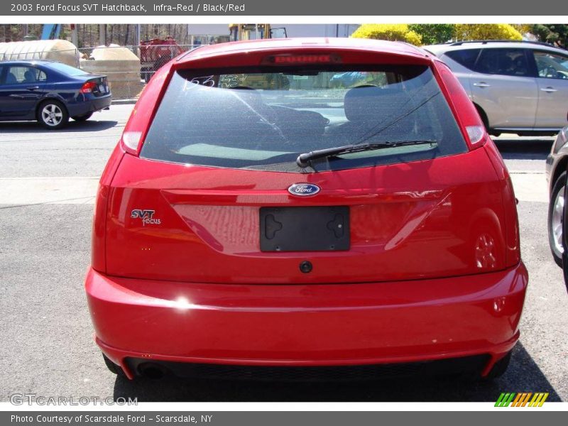 Infra-Red / Black/Red 2003 Ford Focus SVT Hatchback