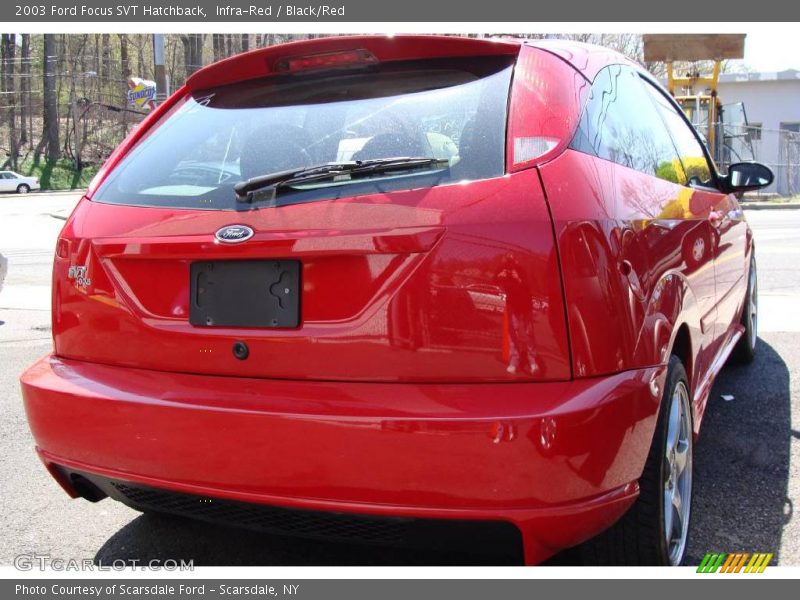 Infra-Red / Black/Red 2003 Ford Focus SVT Hatchback