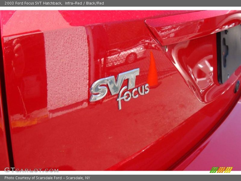Infra-Red / Black/Red 2003 Ford Focus SVT Hatchback