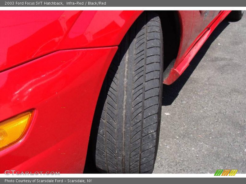 Infra-Red / Black/Red 2003 Ford Focus SVT Hatchback