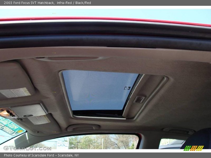 Infra-Red / Black/Red 2003 Ford Focus SVT Hatchback