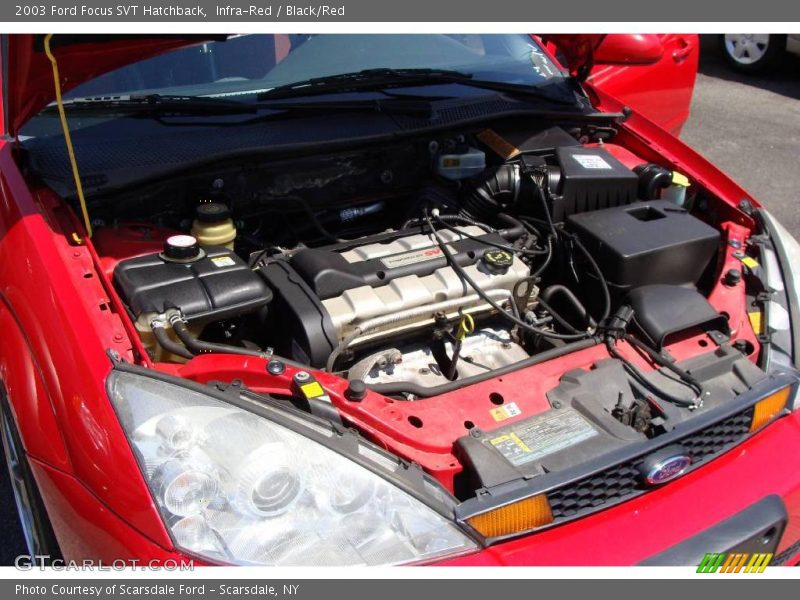 Infra-Red / Black/Red 2003 Ford Focus SVT Hatchback