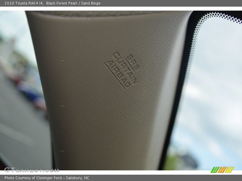 Black Forest Pearl / Sand Beige 2010 Toyota RAV4 I4