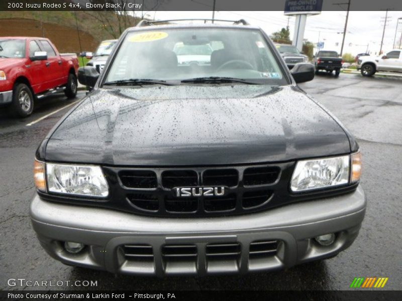 Ebony Black / Gray 2002 Isuzu Rodeo S 4x4