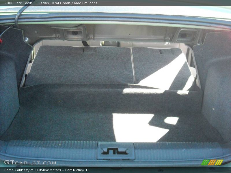 Kiwi Green / Medium Stone 2008 Ford Focus SE Sedan