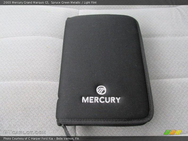 Spruce Green Metallic / Light Flint 2003 Mercury Grand Marquis GS