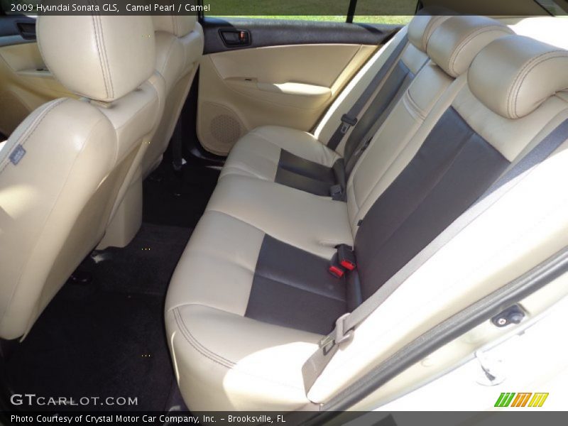 Camel Pearl / Camel 2009 Hyundai Sonata GLS