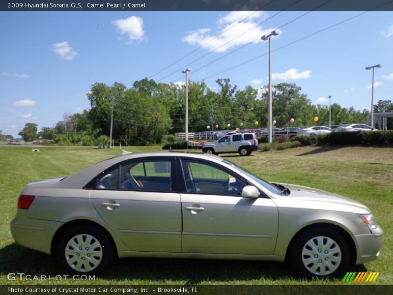 Camel Pearl / Camel 2009 Hyundai Sonata GLS