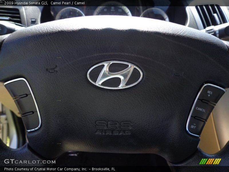 Camel Pearl / Camel 2009 Hyundai Sonata GLS