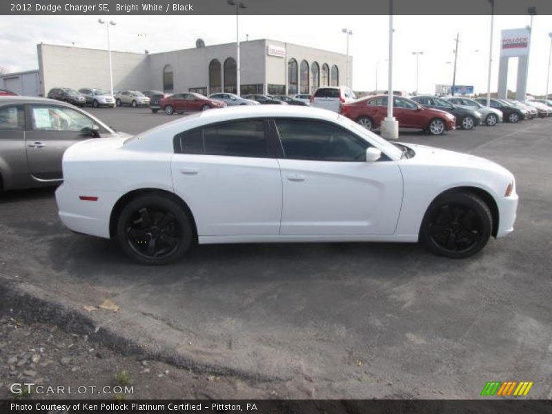 Bright White / Black 2012 Dodge Charger SE