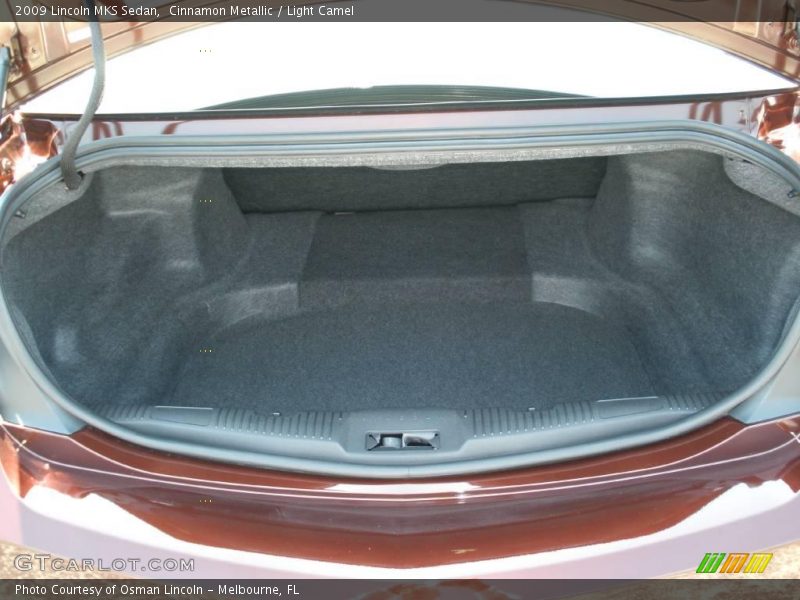 Cinnamon Metallic / Light Camel 2009 Lincoln MKS Sedan