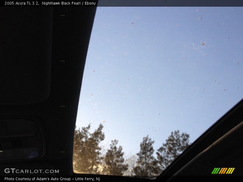 Nighthawk Black Pearl / Ebony 2005 Acura TL 3.2