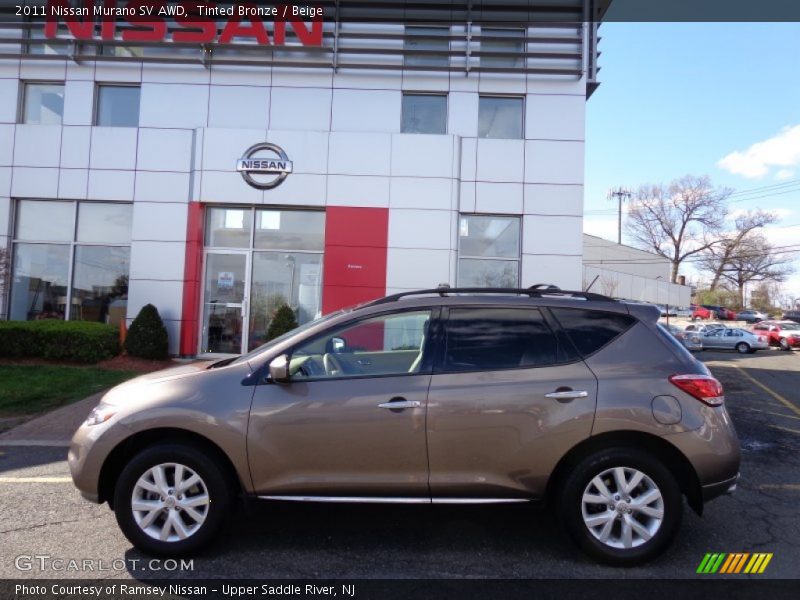 Tinted Bronze / Beige 2011 Nissan Murano SV AWD