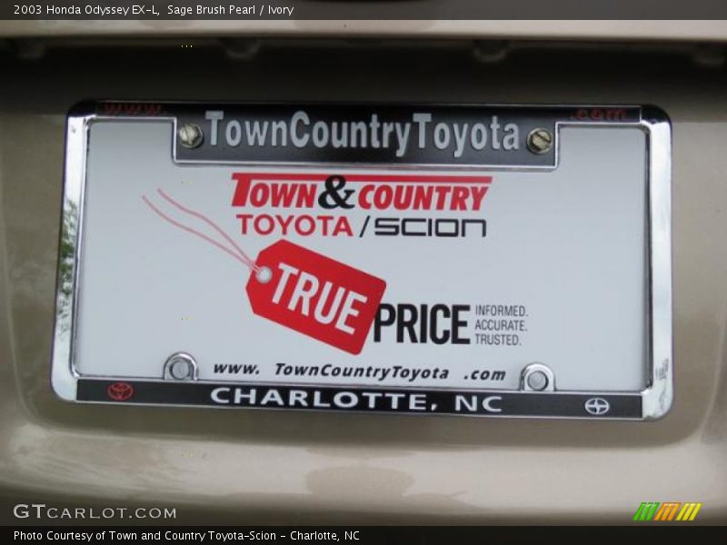 Sage Brush Pearl / Ivory 2003 Honda Odyssey EX-L