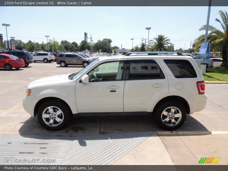 White Suede / Camel 2009 Ford Escape Limited V6