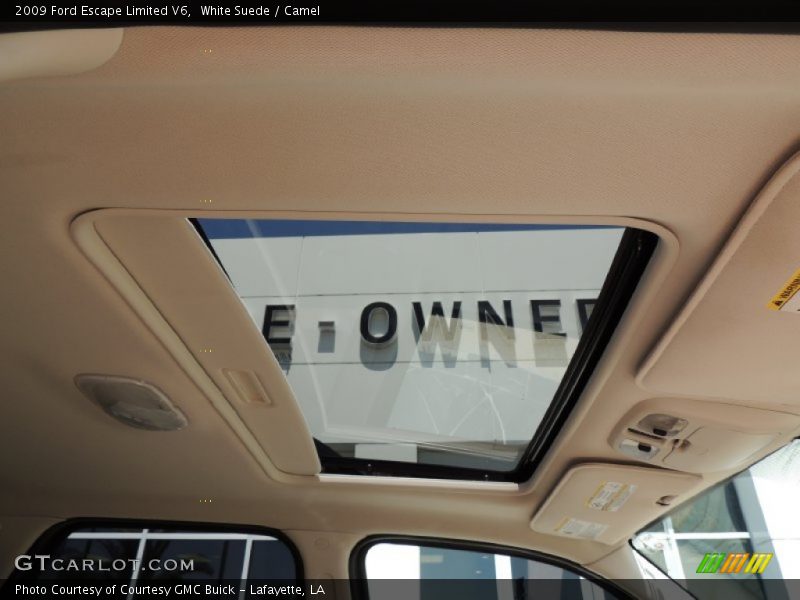 White Suede / Camel 2009 Ford Escape Limited V6