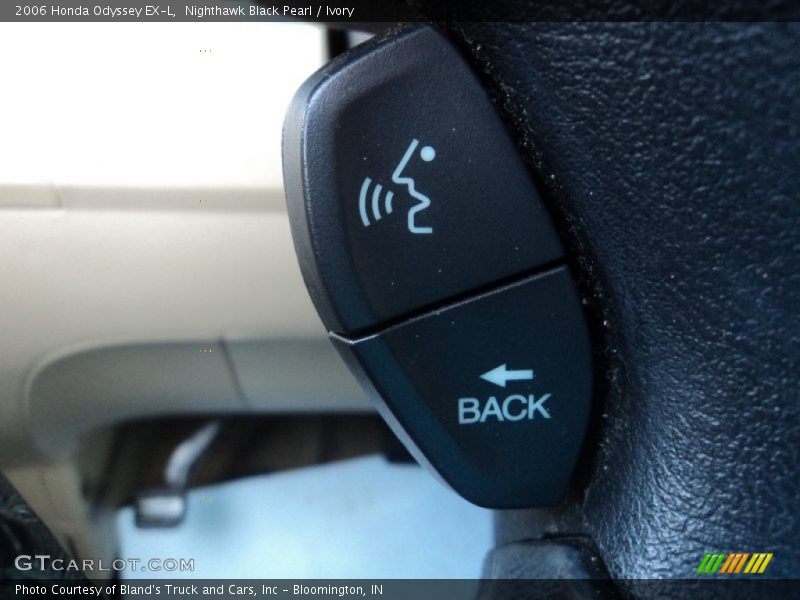 Nighthawk Black Pearl / Ivory 2006 Honda Odyssey EX-L