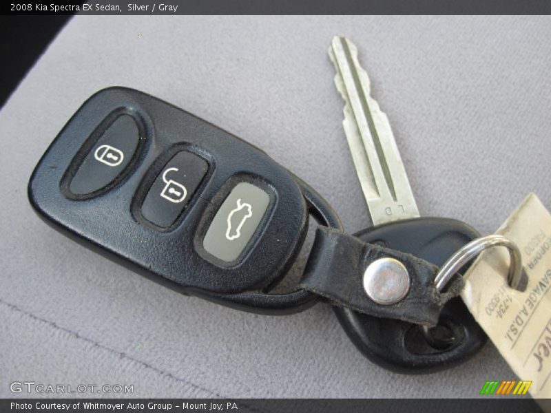 Silver / Gray 2008 Kia Spectra EX Sedan