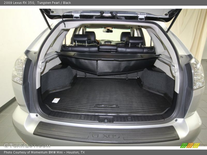 Tungsten Pearl / Black 2009 Lexus RX 350