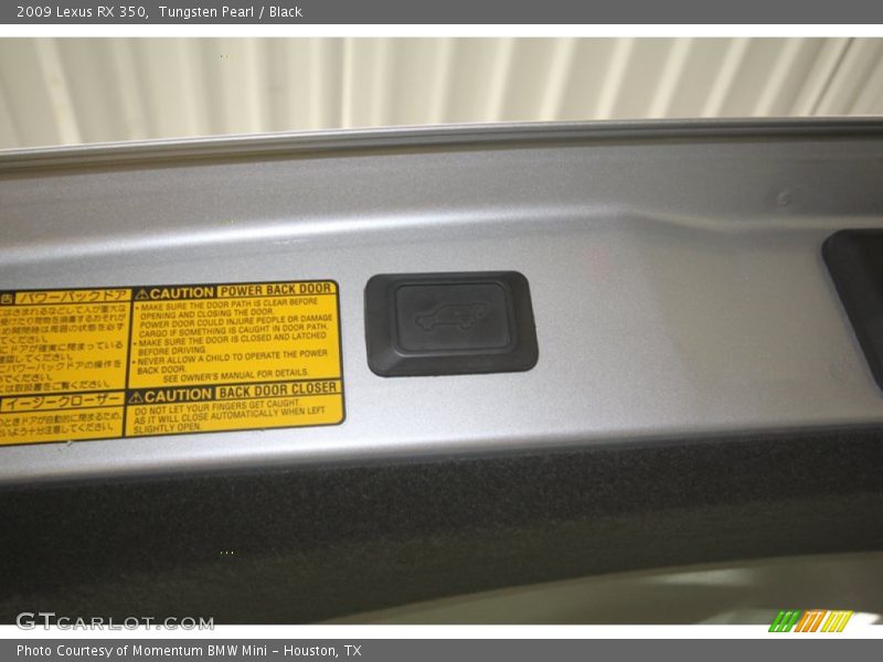 Tungsten Pearl / Black 2009 Lexus RX 350