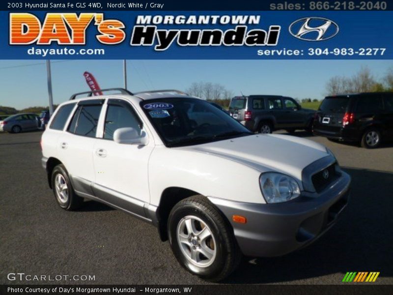 Nordic White / Gray 2003 Hyundai Santa Fe GLS 4WD