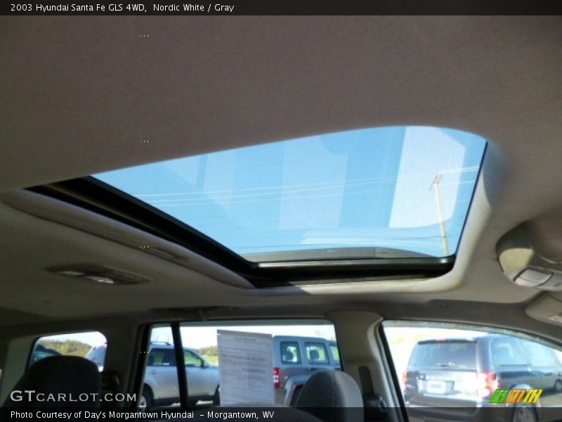 Nordic White / Gray 2003 Hyundai Santa Fe GLS 4WD