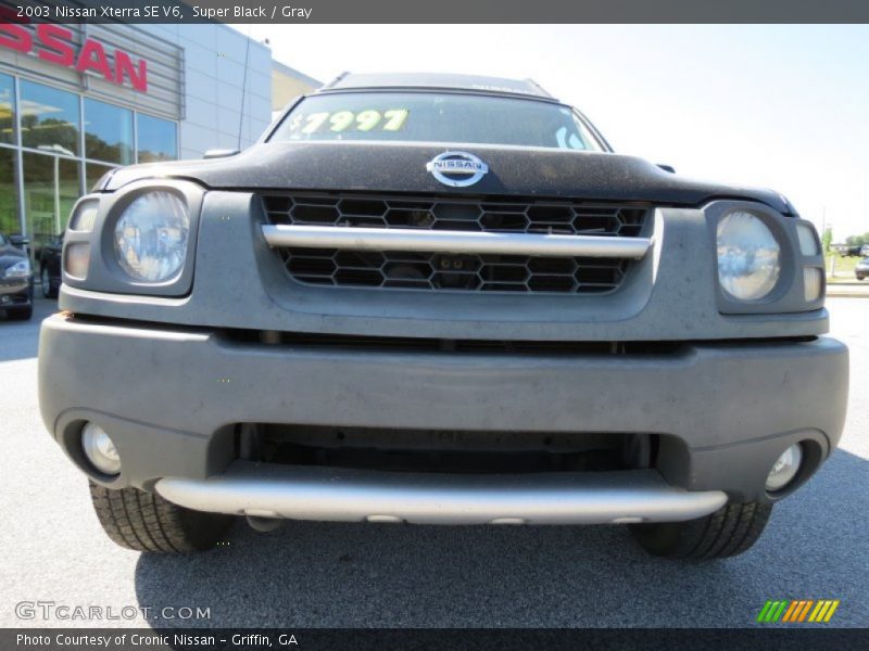 Super Black / Gray 2003 Nissan Xterra SE V6