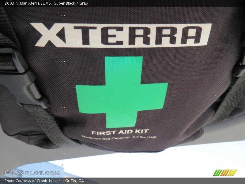 Super Black / Gray 2003 Nissan Xterra SE V6