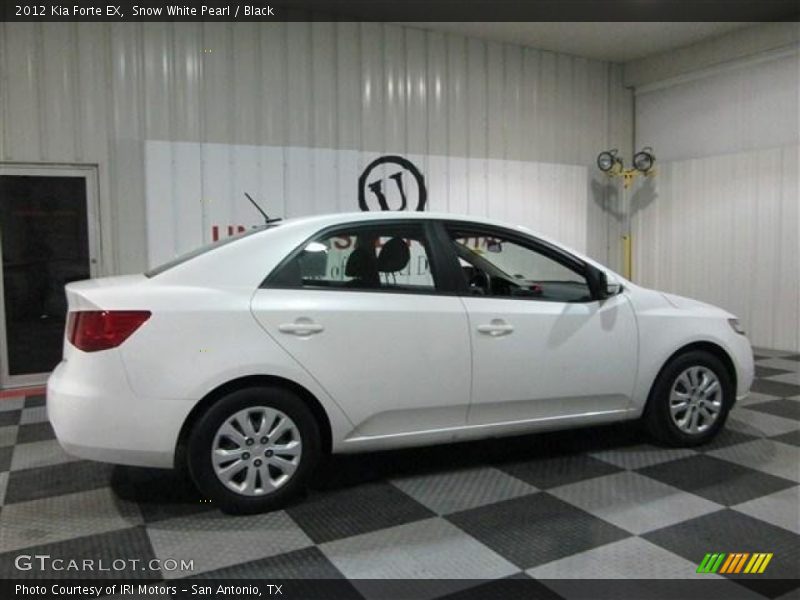 Snow White Pearl / Black 2012 Kia Forte EX