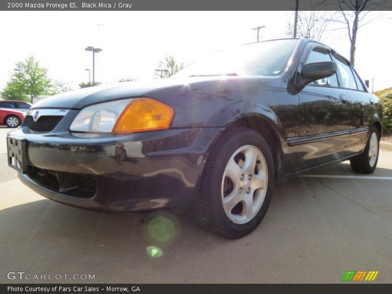 Black Mica / Gray 2000 Mazda Protege ES