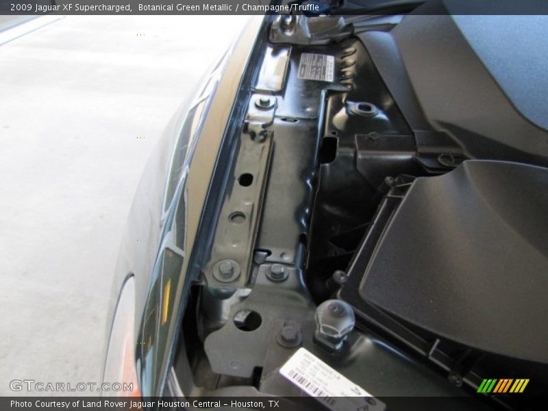 Botanical Green Metallic / Champagne/Truffle 2009 Jaguar XF Supercharged