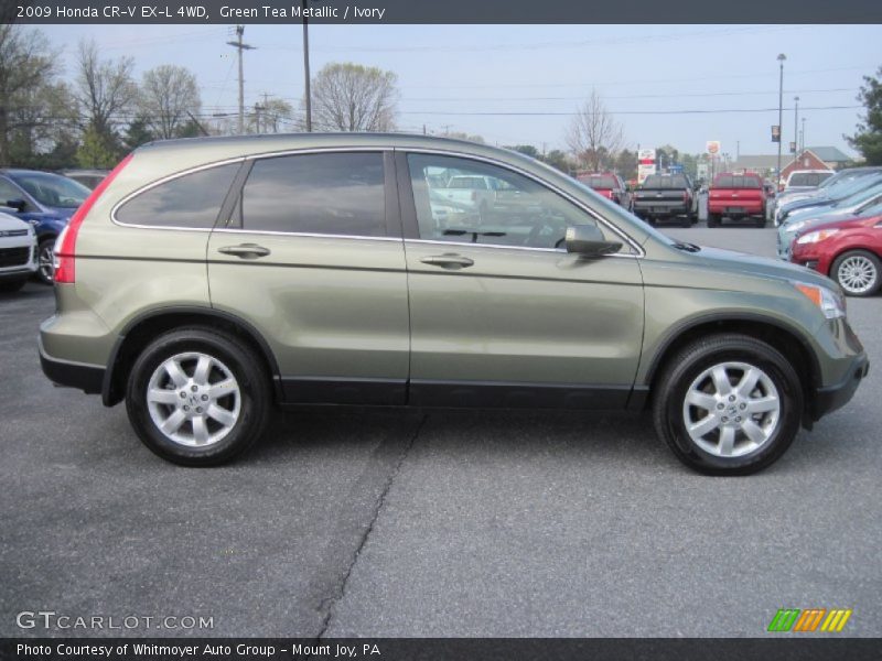 Green Tea Metallic / Ivory 2009 Honda CR-V EX-L 4WD