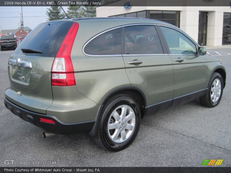 Green Tea Metallic / Ivory 2009 Honda CR-V EX-L 4WD