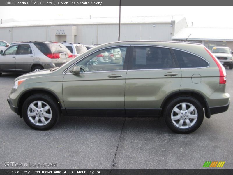 Green Tea Metallic / Ivory 2009 Honda CR-V EX-L 4WD