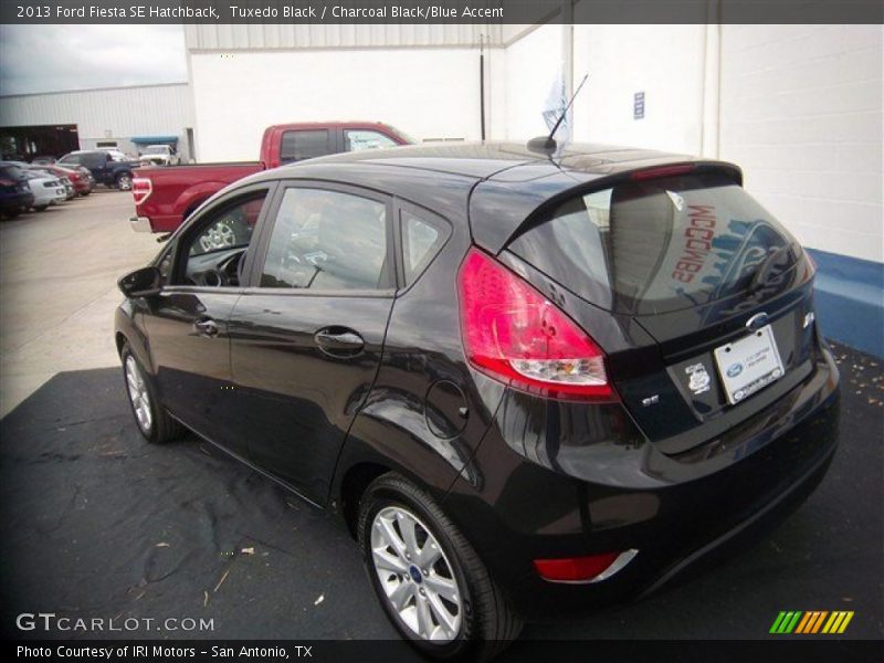 Tuxedo Black / Charcoal Black/Blue Accent 2013 Ford Fiesta SE Hatchback
