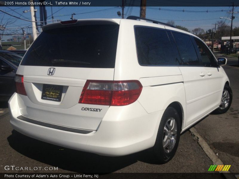 Taffeta White / Ivory 2005 Honda Odyssey EX-L